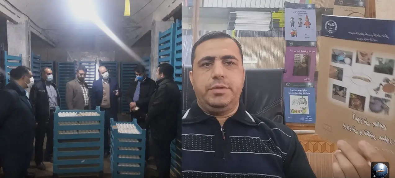 نحوه خرید سوسک تاریکی (مولد میلورم) جوان