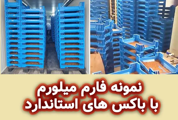 فارم استاندارد میلورم
