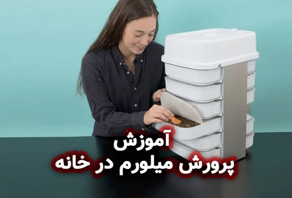 آموزش پرورش میلورم در خانه