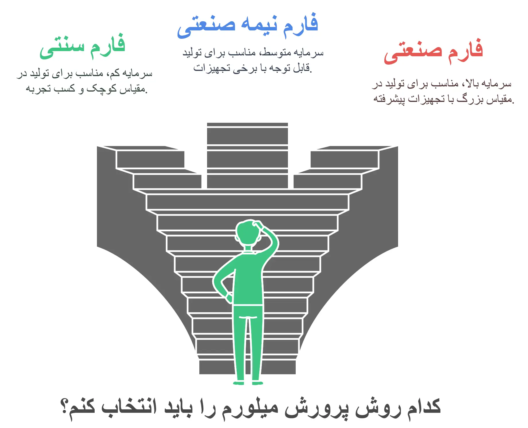 اینفوگرافیک راه اندازی فارم پرورش میلورم
