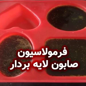 فرمولاسیون صابون لایه بردار گیاهی