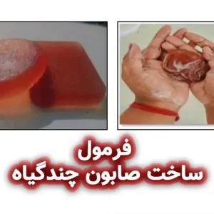 صابون چند گیاه آنتی باکتریال