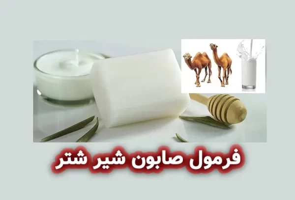 فرمولاسیون صابون شیر شتر