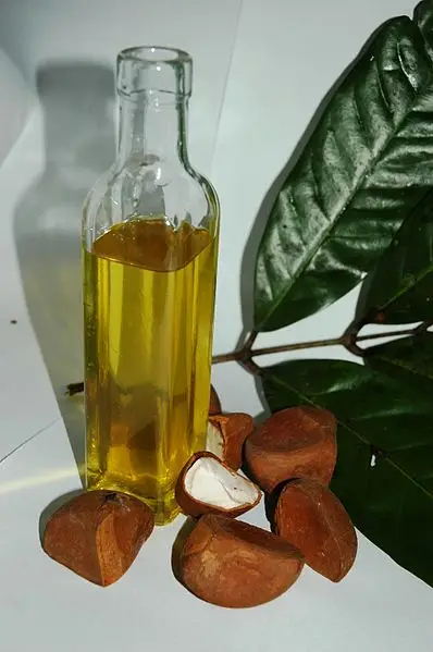 روغن اندیروبا (Andiroba)