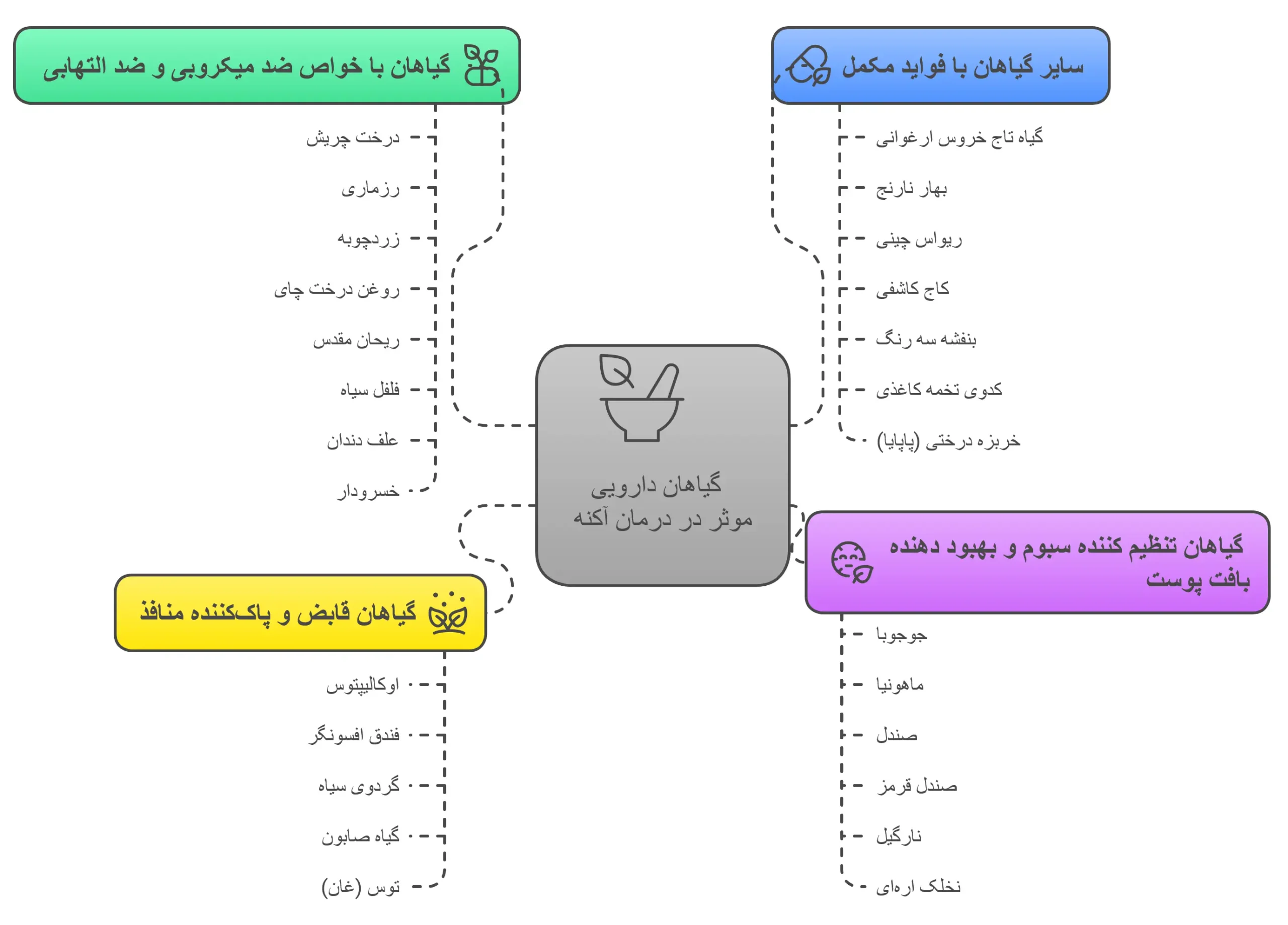 گیاهان دارویی موثر در درمان آکنه