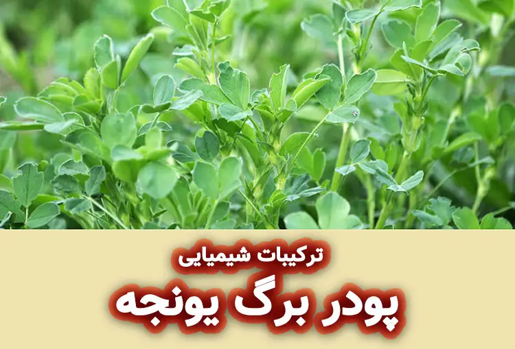ترکیبات شیمیایی پودر برگ یونجه