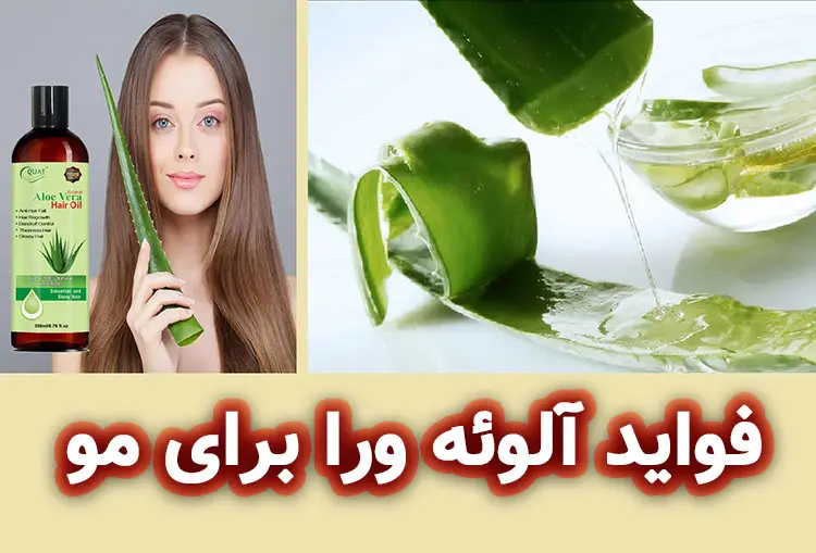 فواید آلوئه‌ ورا برای مو