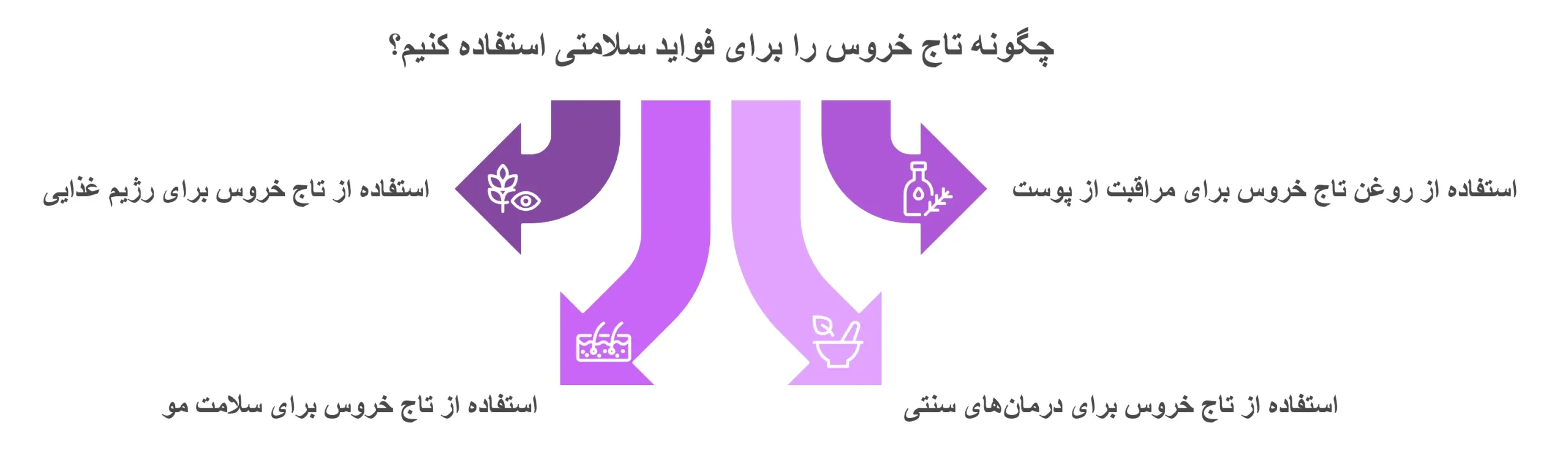 خواص گیاه تاج خروس برای سلامتی