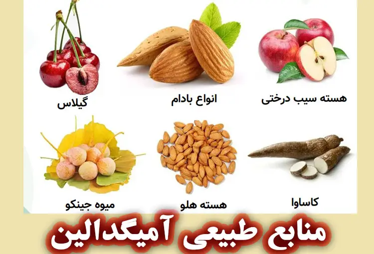 منابع طبیعی آمیگدالین