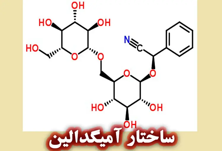 ساختار آمیگدالین چیست؟