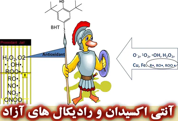 BHT و رادیکال های آزاد