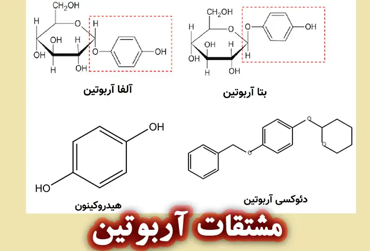 مشتقات آربوتین در محصولات آرایشی و بهداشتی
