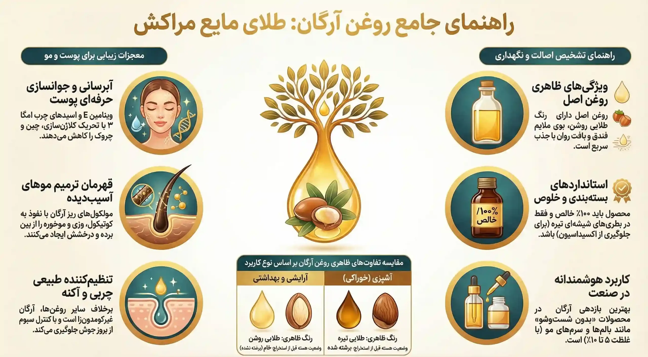 اینفوگرافیک فواید روغن آرگان
