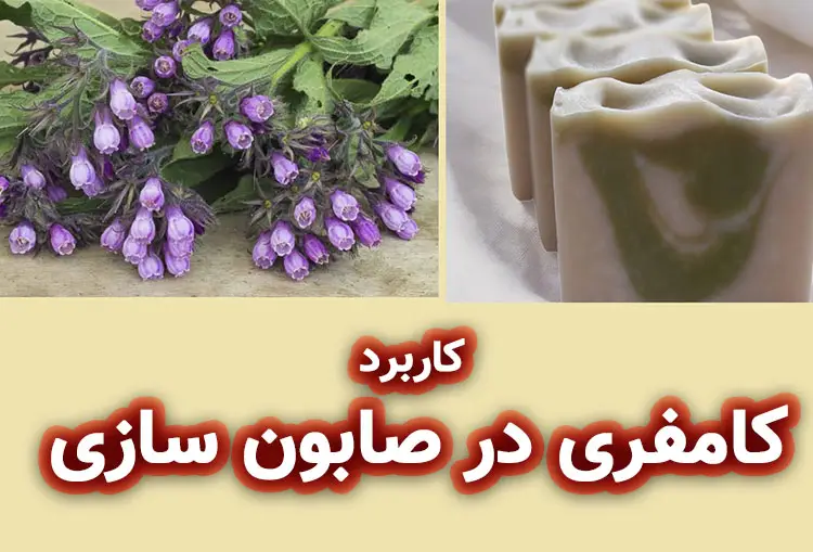 کاربرد های ریشه کامفری در صابون‌ های گیاهی