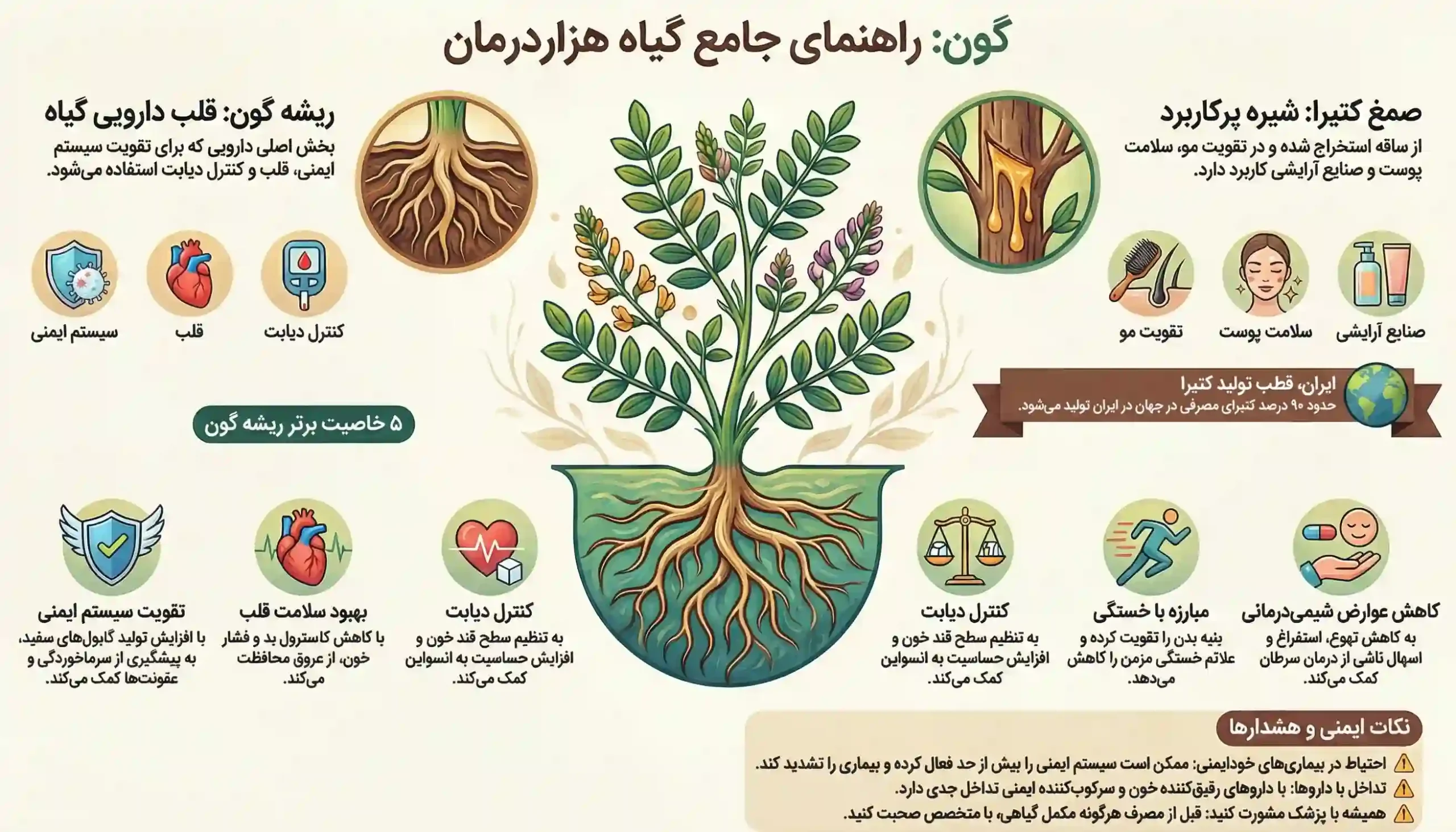 خواص ریشه گون