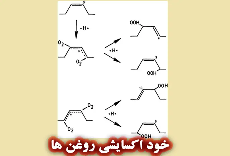 خود اکسایشی روغن‌ها چیست؟