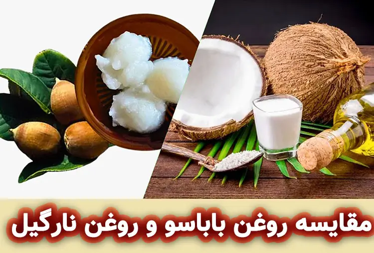 تفاوت کلیدی روغن دانه باباسو با روغن نارگیل