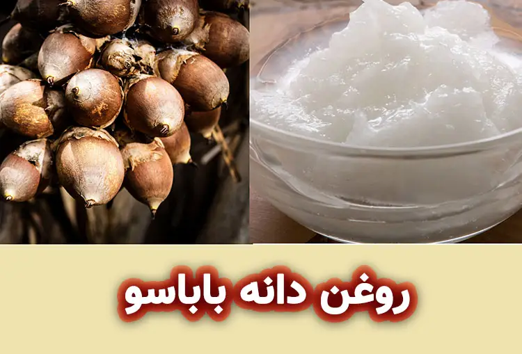 روغن دانه باباسو چیست؟