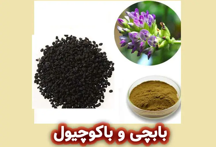 بابچی و باکوچیول: شناخت اجزای فعال کلیدی