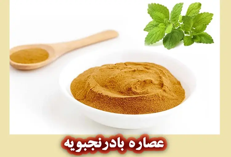 خواص عصاره بادرنجبویه برای پوست