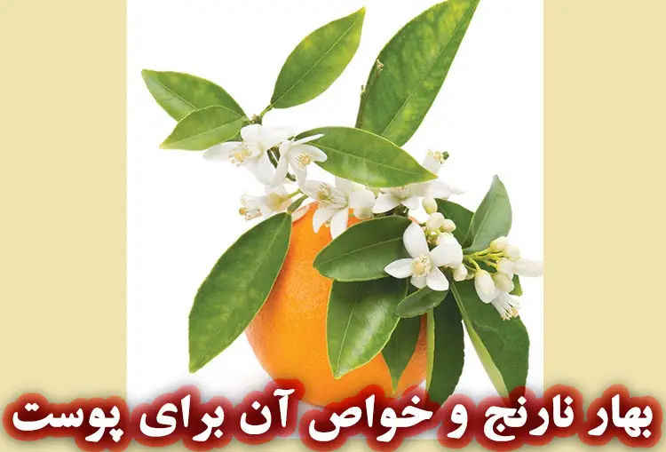بهار نانج