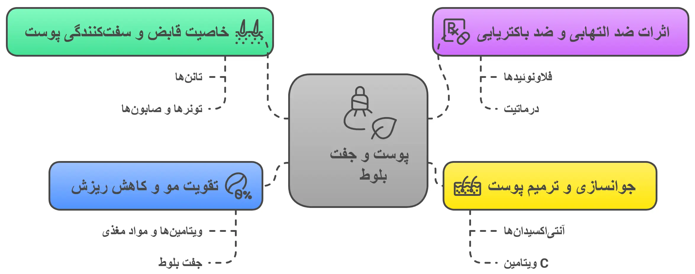 خواص جفت بلوط (پوست بلوط) برای پوست و مو