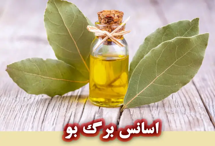 نحوه مصرف و آماده‌سازی برگ بو
