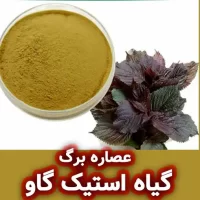 عصاره برگ گیاه استیک گاو