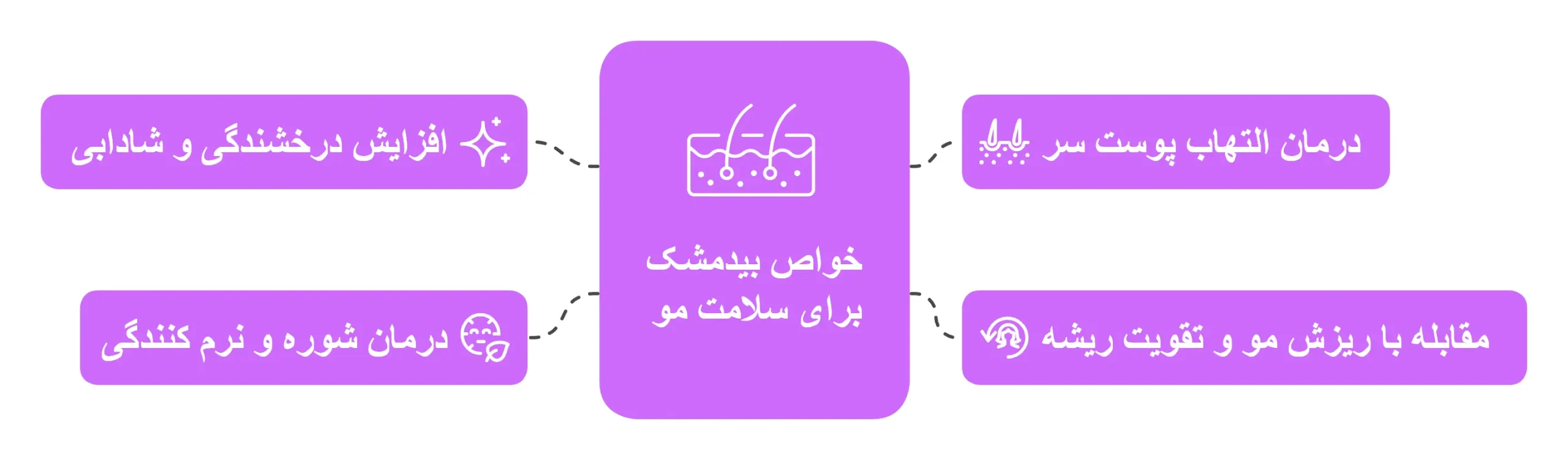 خواص بیدمشک برای سلامت مو