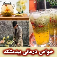 خواص بیدمشک برای پوست و مو