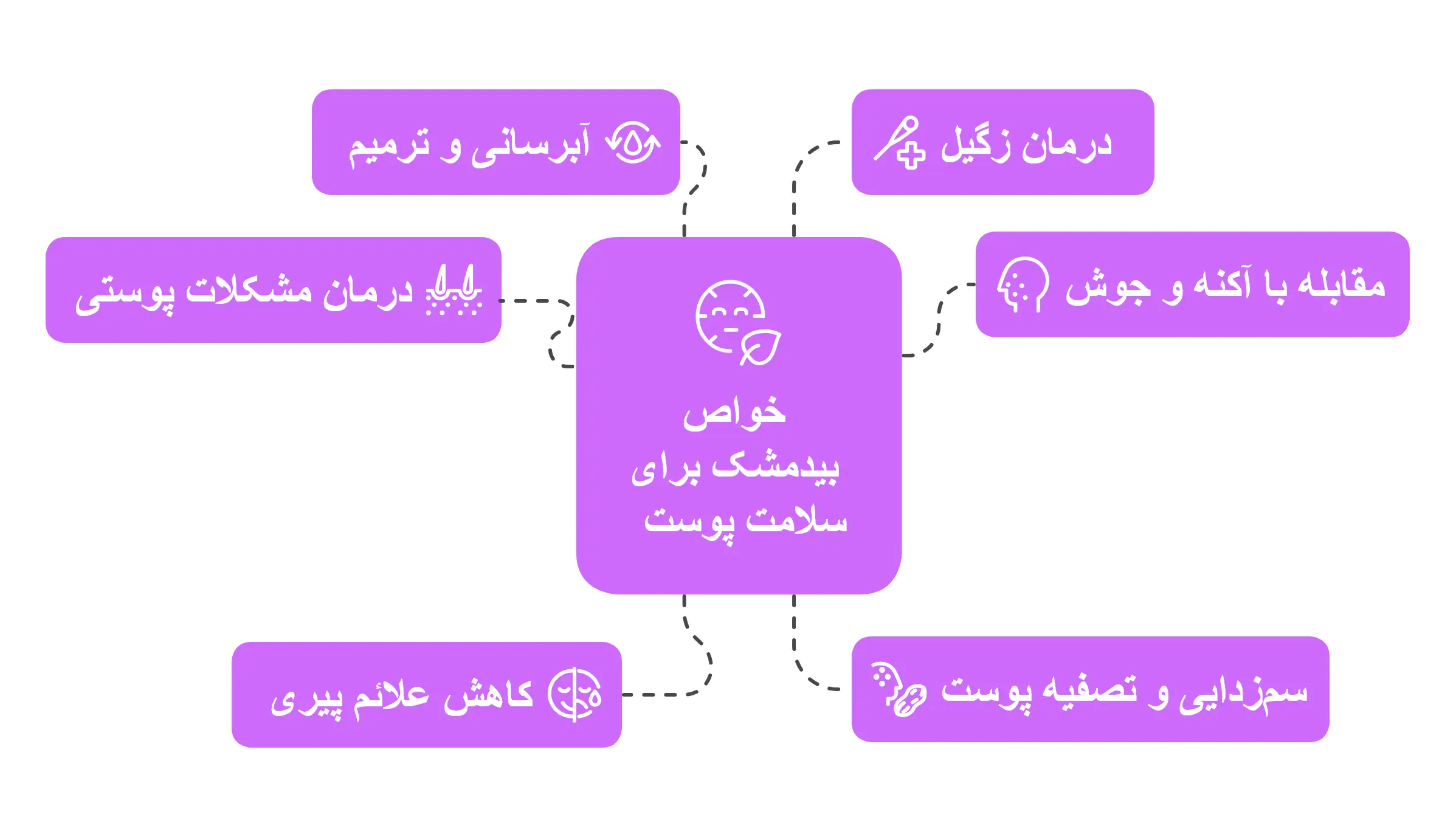 خواص بیدمشک برای سلامت پوست