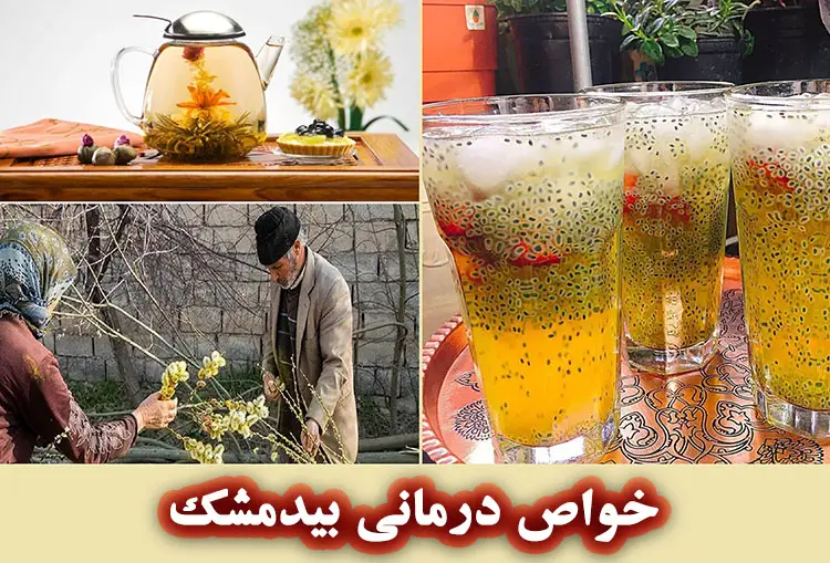 خواص بیدمشک برای پوست و مو