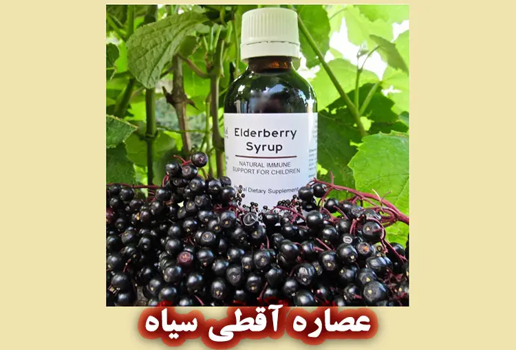 خواص عصاره آقطی سیاه برای پوست