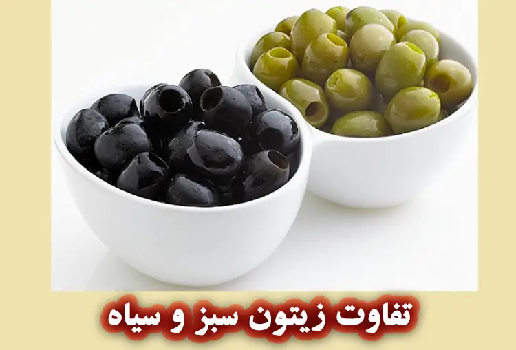 تفاوت زیتون سبز و زیتون سیاه چیست؟