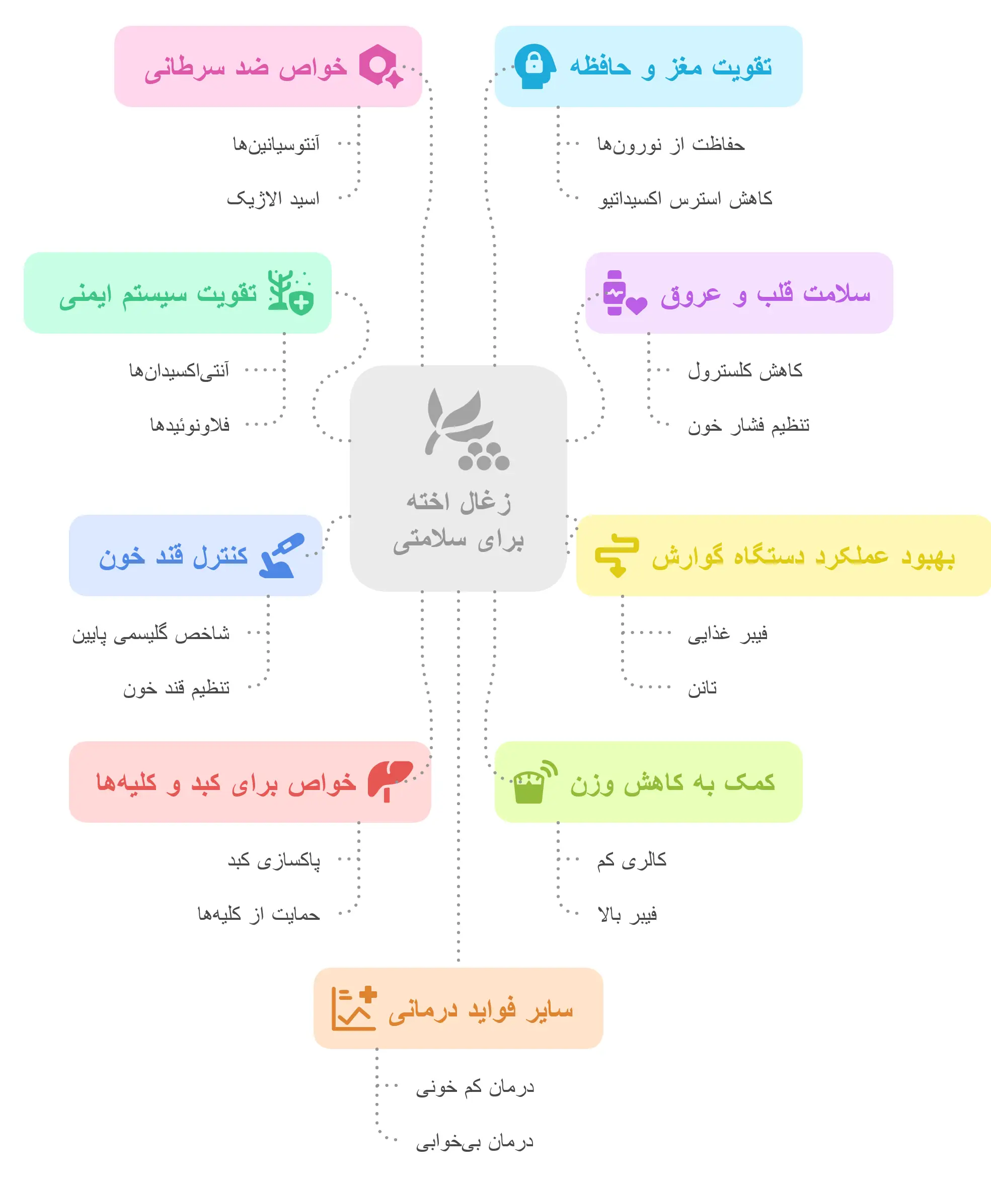 خواص زغال اخته در ارتقای سلامت عمومی بدن