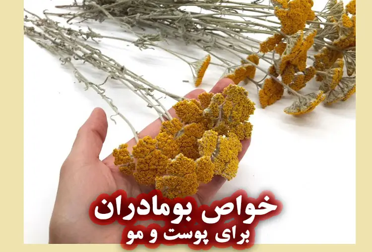 خواص بومادران برای پوست و مو