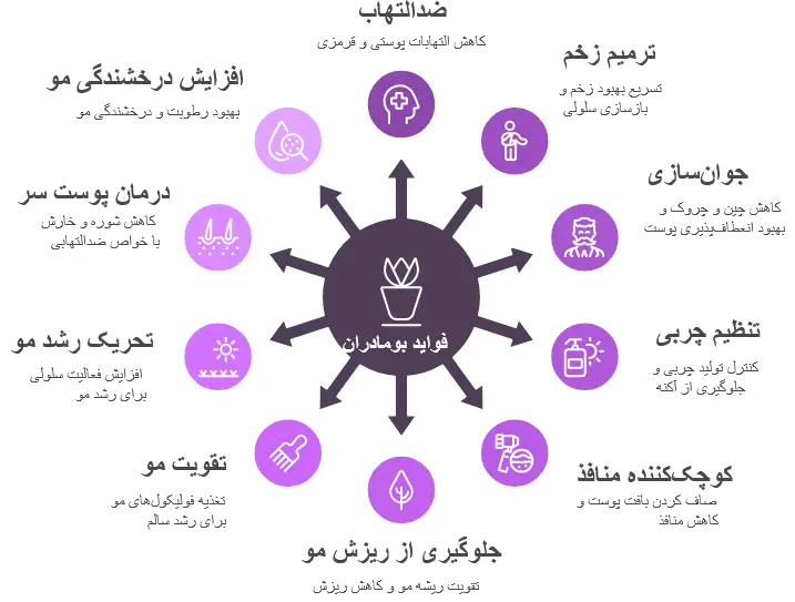 فواید بومادران برای پوست و مو چیست؟