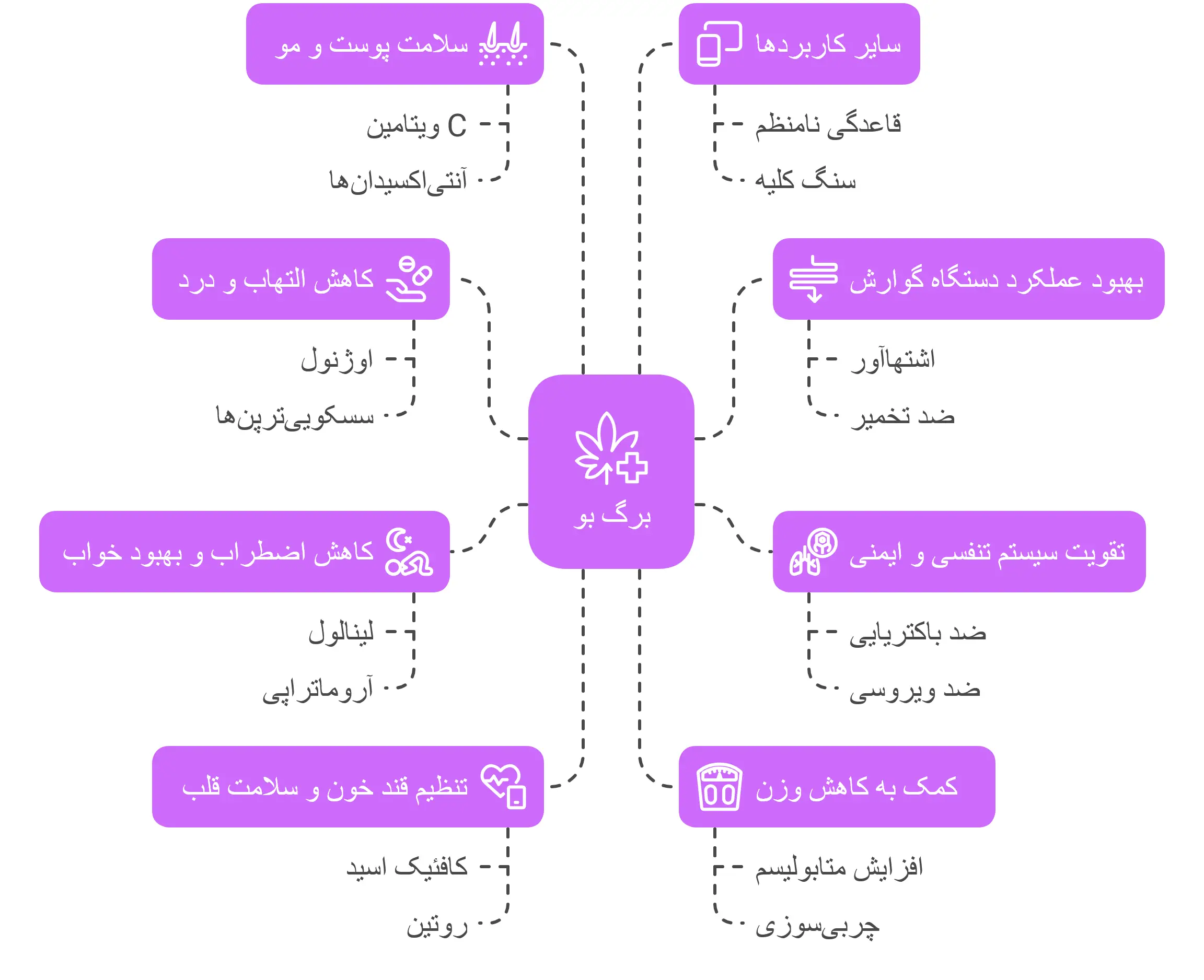 خواص درمانی و فواید برگ بو