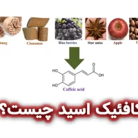 کافئیک اسید چیست؟