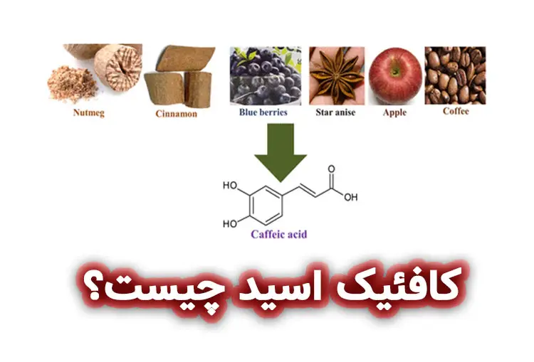 کافئیک اسید چیست؟