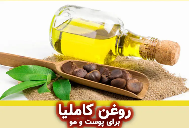 روغن کاملیا: راهنمای کامل استفاده برای پوست و مو