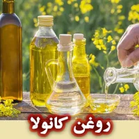 روغن کانولا (کلزا)