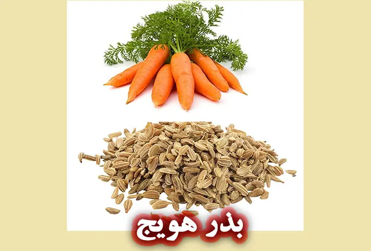 روغن تخم هویج