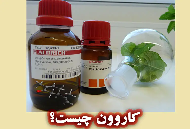 کاروون چیست؟