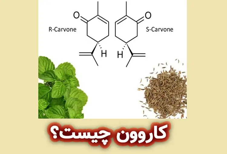 کاروون چیست؟