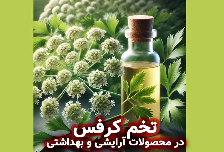 معجزه تخم کرفس در مراقبت پوست: خواص عصاره، اسانس و هیدروسل