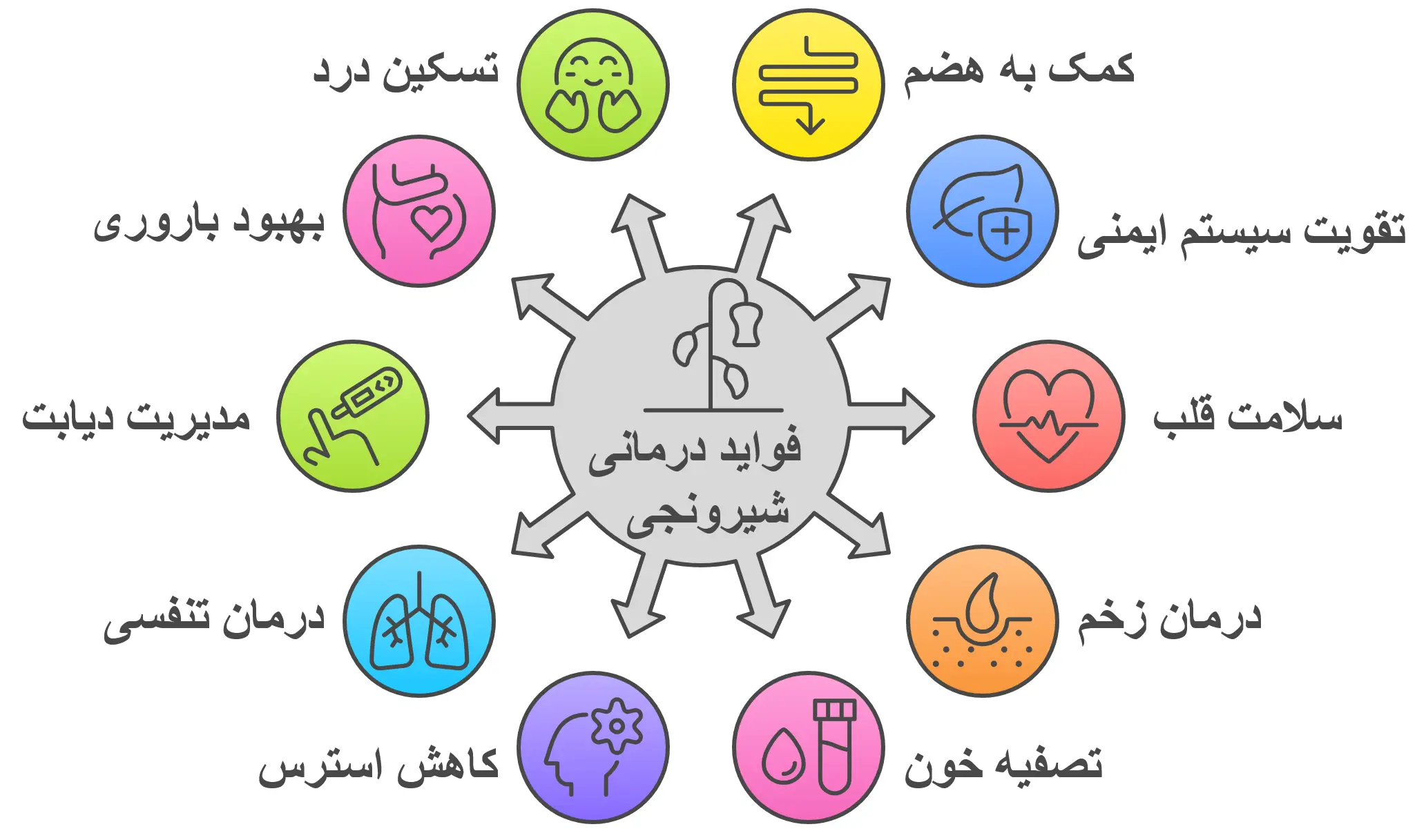 فواید درمانی روغن شیرونجی