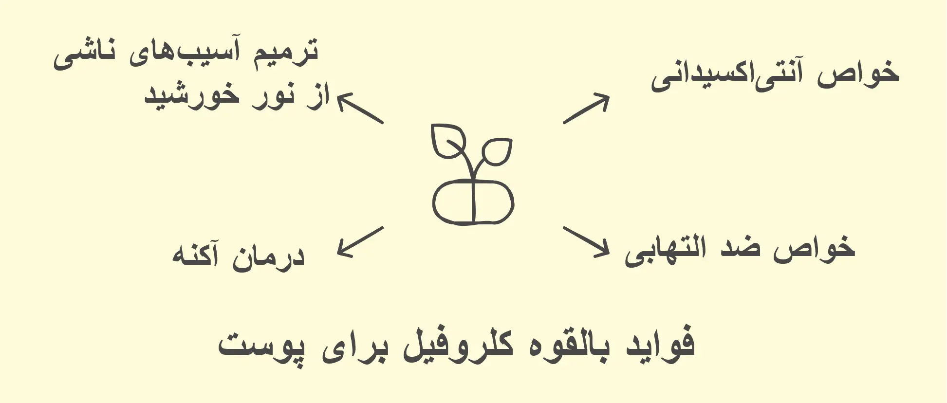 فواید کلروفیل برای پوست