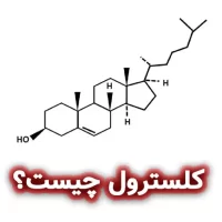 کلسترول چیست؟