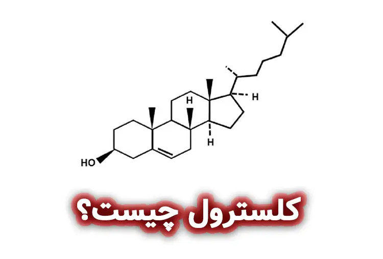 کلسترول چیست؟